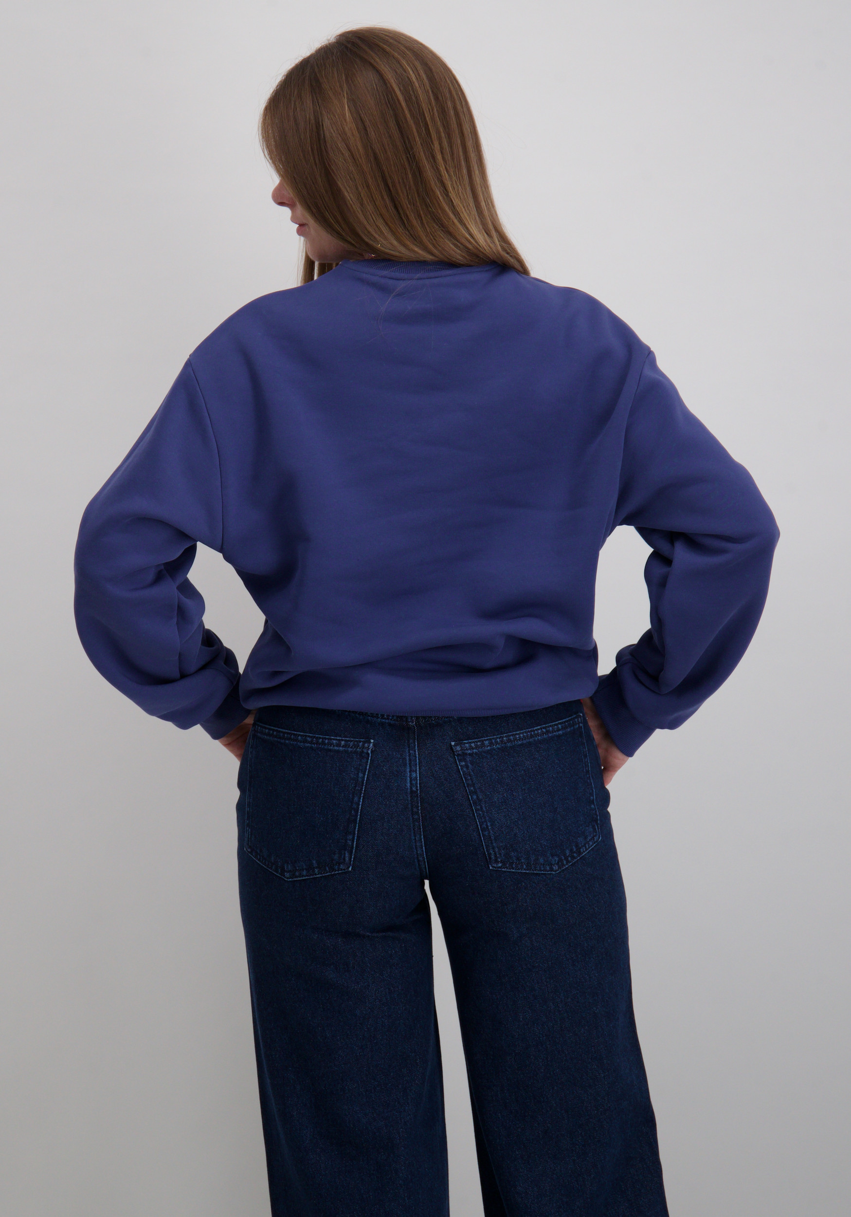 Colourful Rebel Sweater Logo's WS417202 Raf blauw