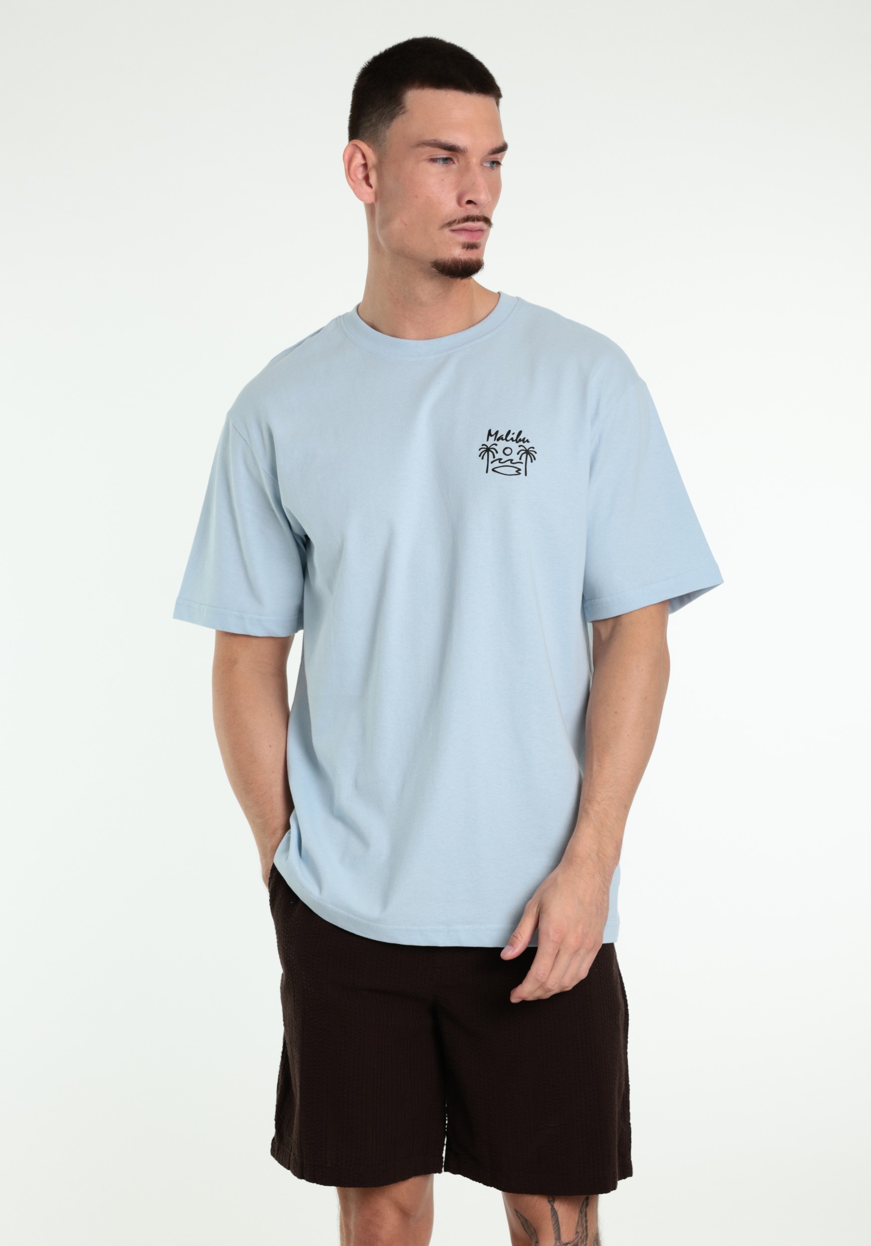 ONLY & SONS T-shirt Milo 22039621 Licht blauw