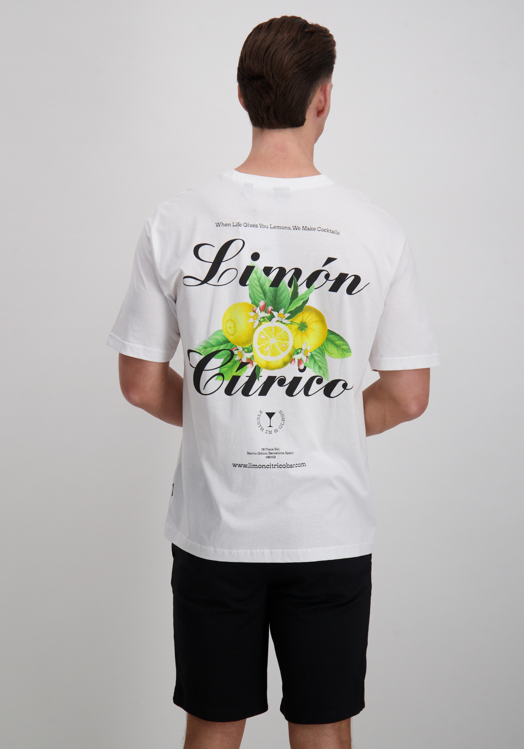 ONLY & SONS T-shirt Keane 22033620 Wolwit-ecru