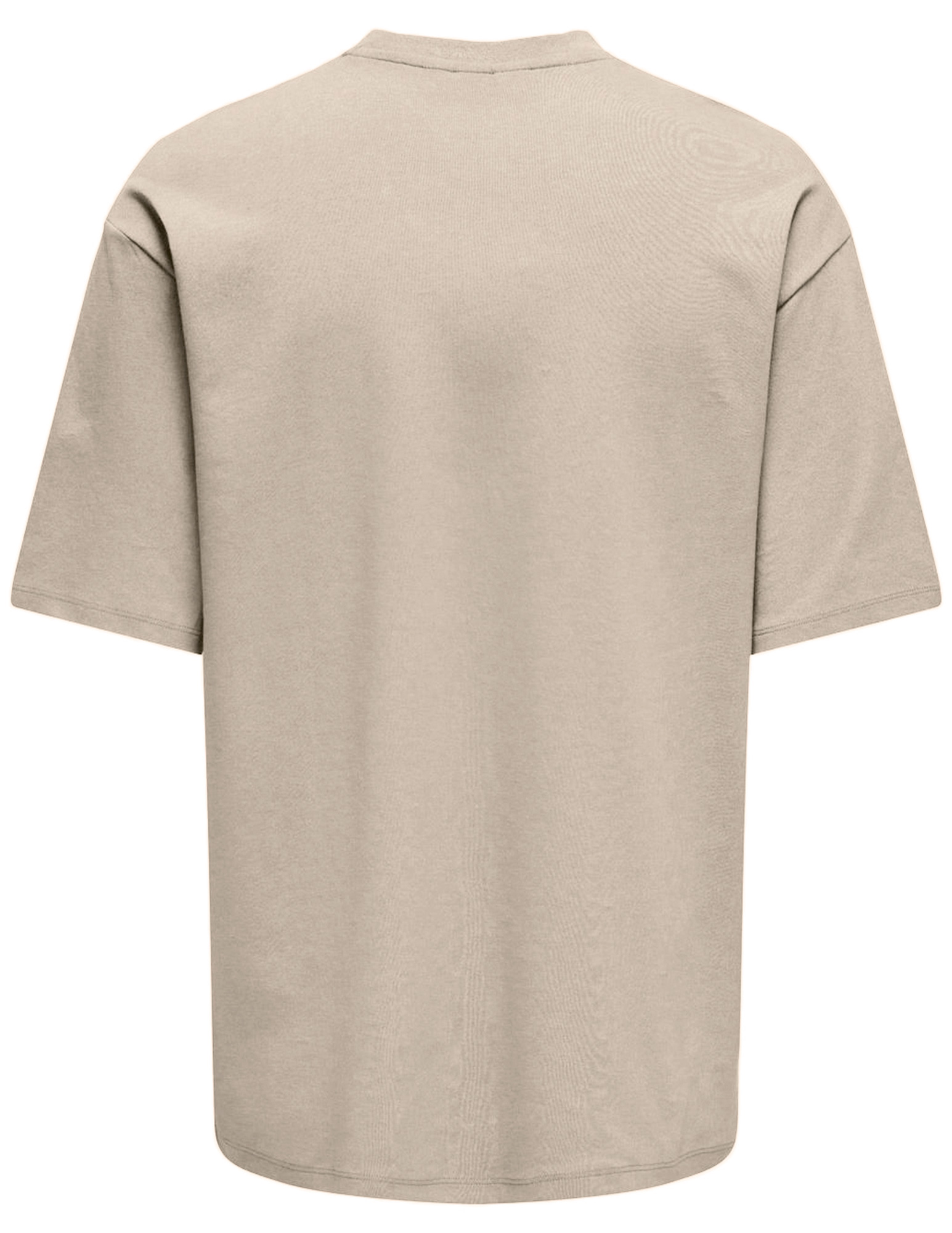 ONLY & SONS T-shirt Caspian airflex 22031940 Zand
