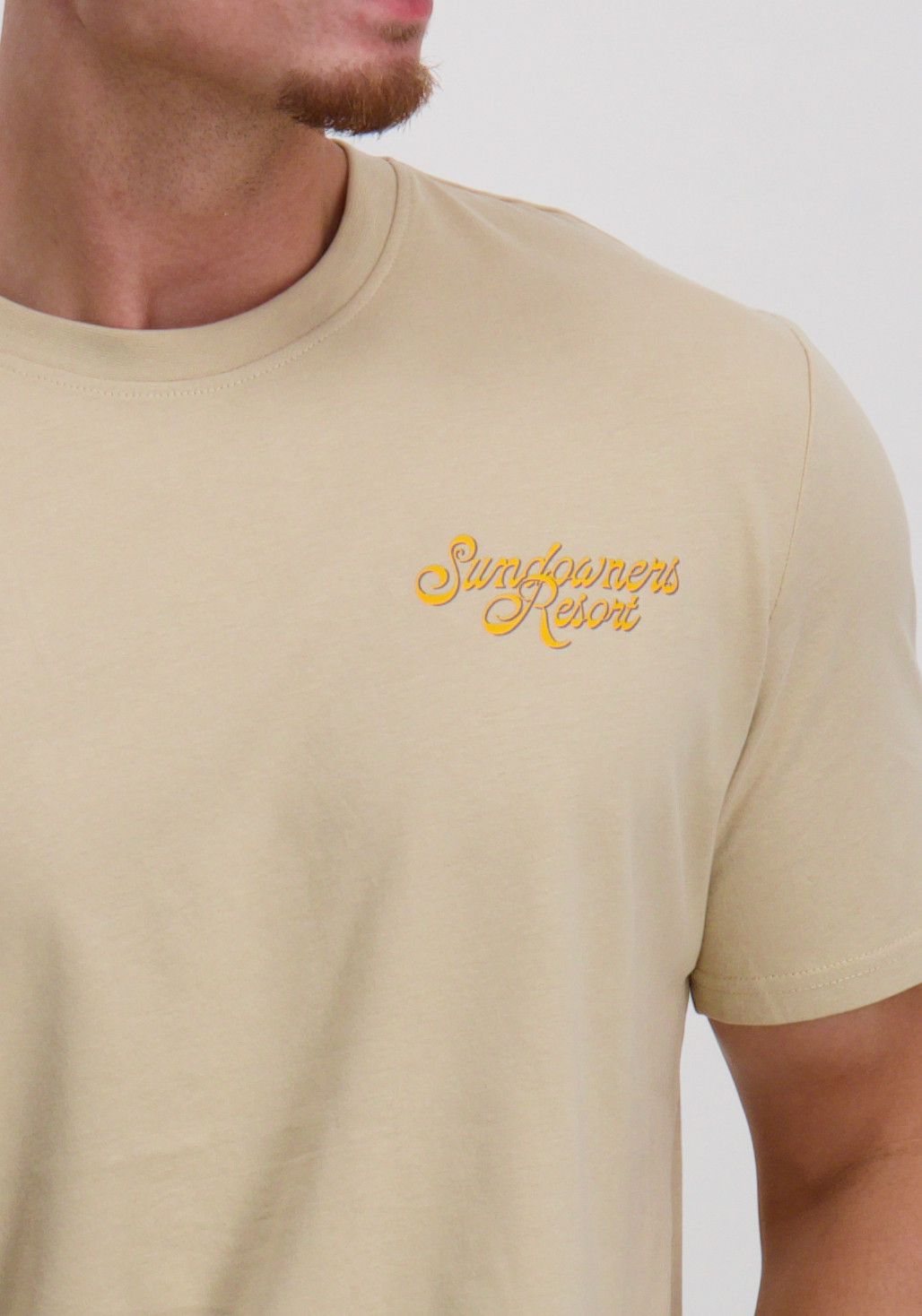 ONLY & SONS T-shirt Manuel 22034450 Beige