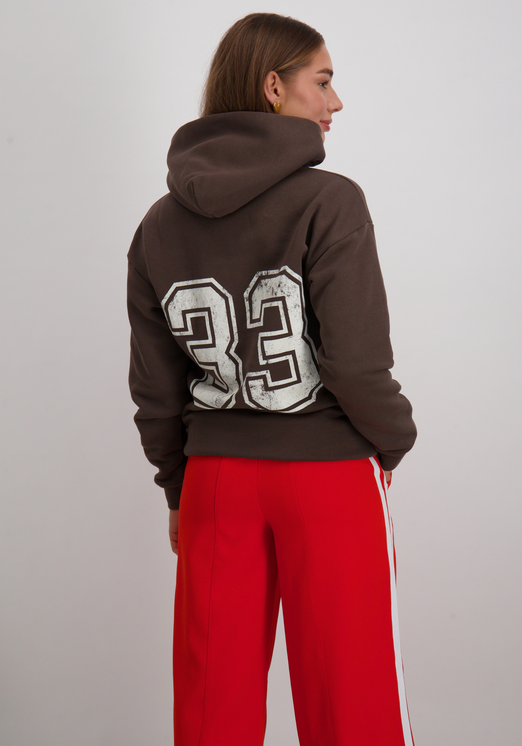Colourful Rebel Hoodie Rebel 33 WH117180 Donker bruin