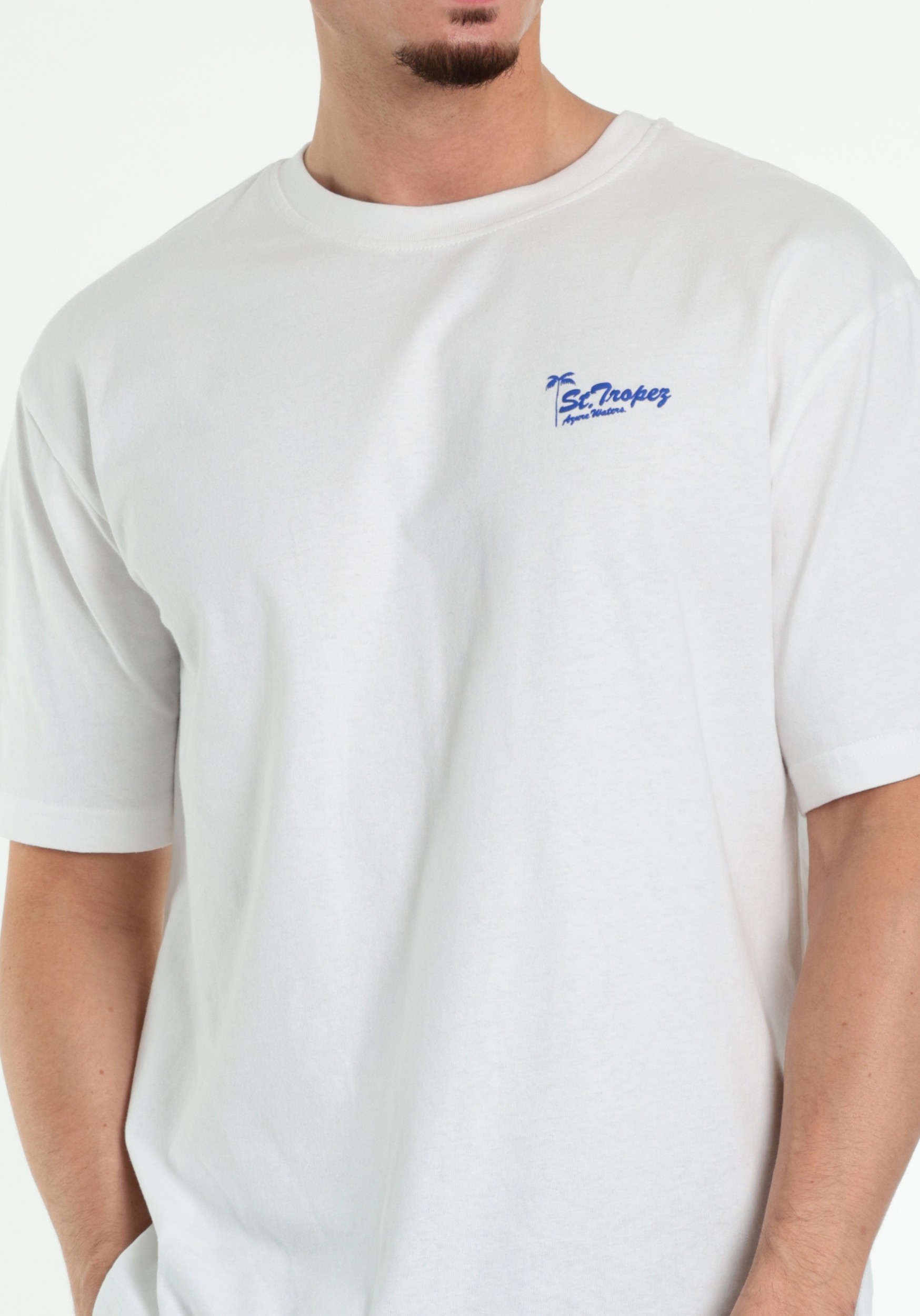 ONLY & SONS T-shirt Milo 22039621 Wit