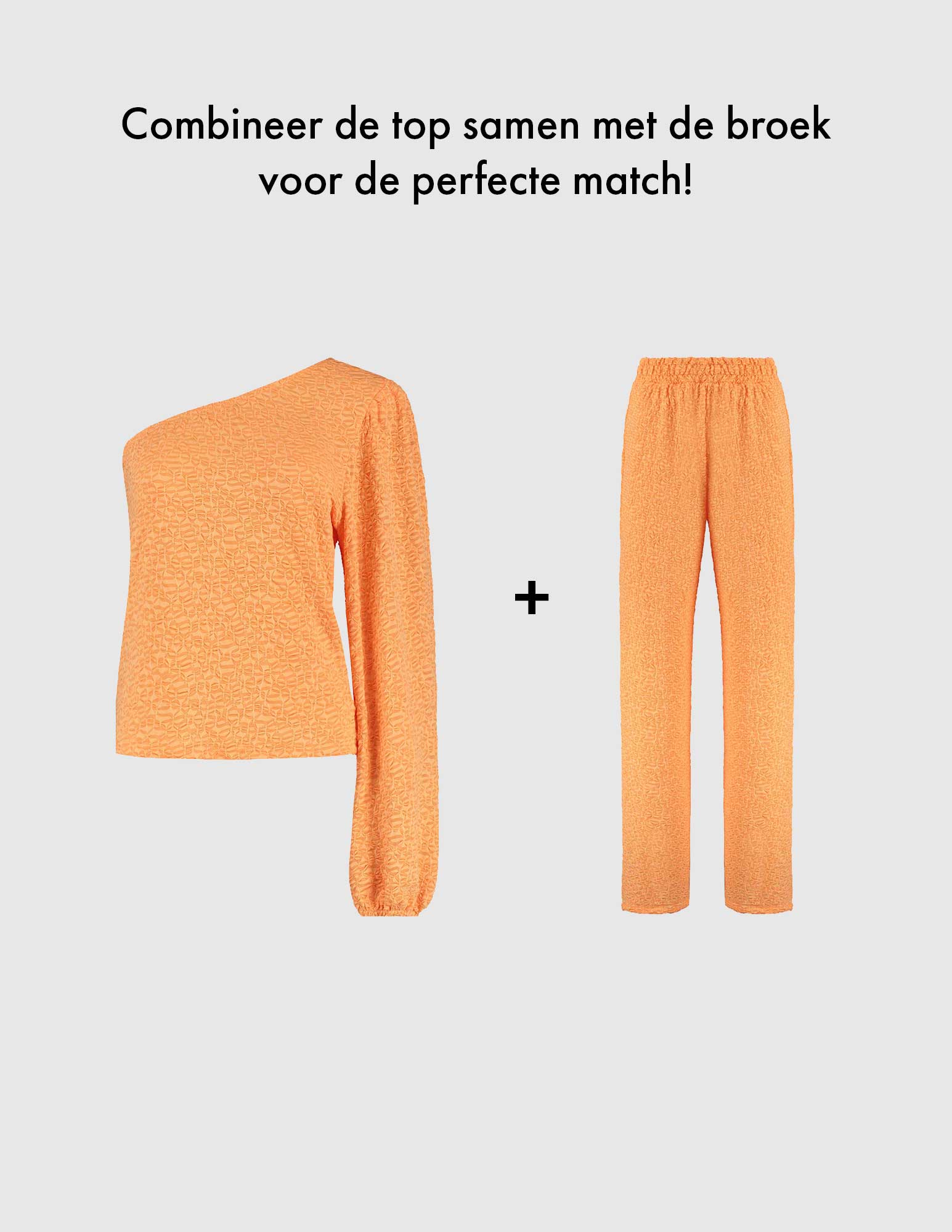 Refined Department Broek Nova R2403157372 Oranje