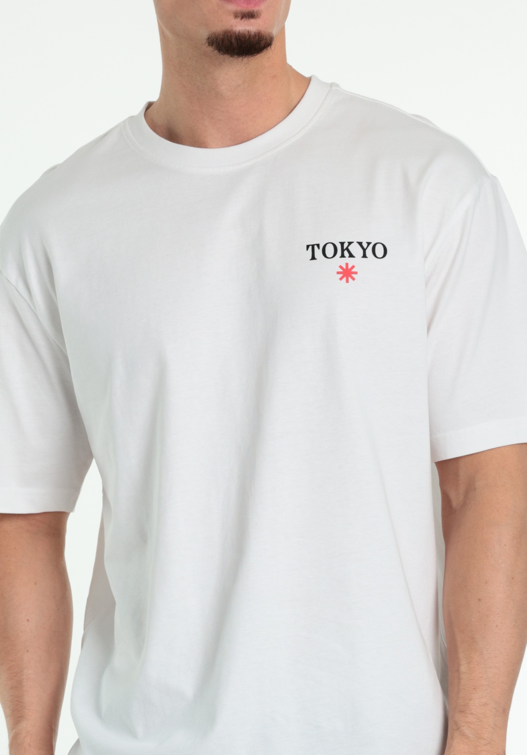 ONLY & SONS T-shirt Fred 22038318 Wit