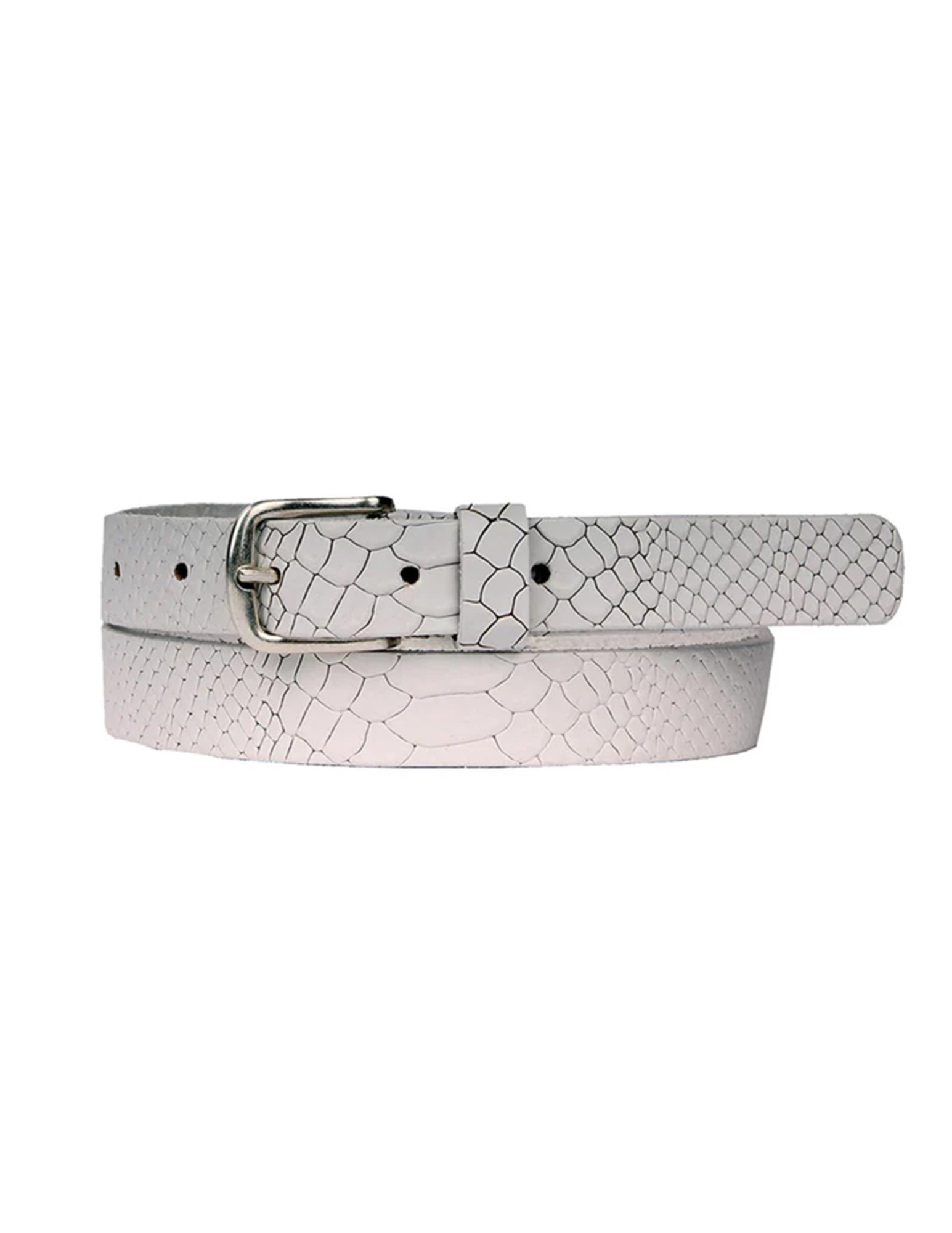 Legend Riem 25058 Zilver