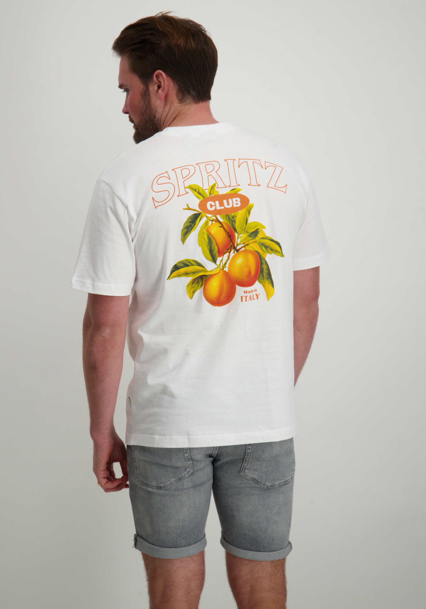 ONLY & SONS T-shirt Spritz 22034398 Wit