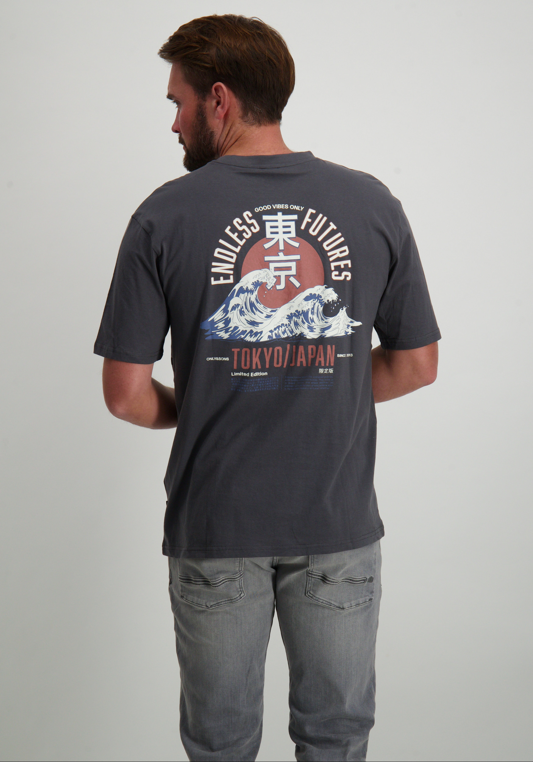 ONLY & SONS T-shirt Keane 22033620 Donker Grijs