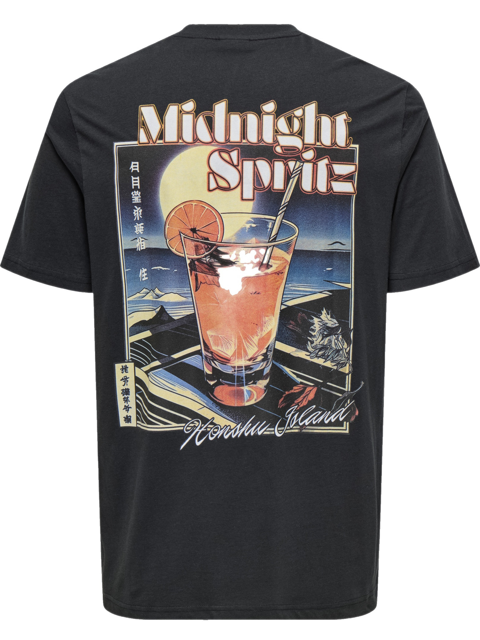 ONLY & SONS T-shirt Chris 22034333 Zwart