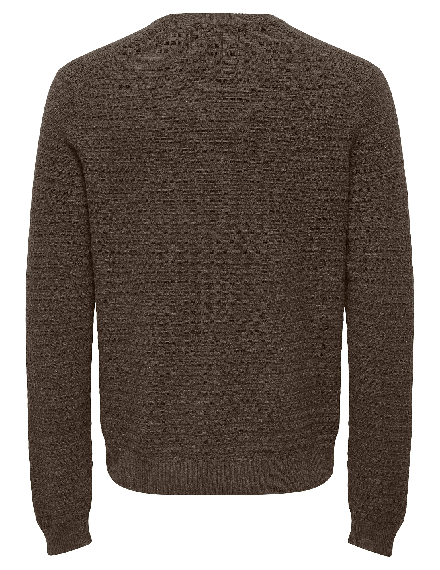 ONLY & SONS Trui Loui 22038965 Bruin