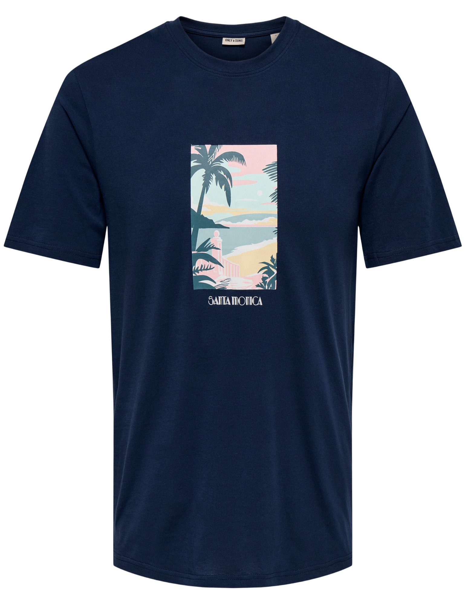 ONLY & SONS T-shirt Stillo 22039618