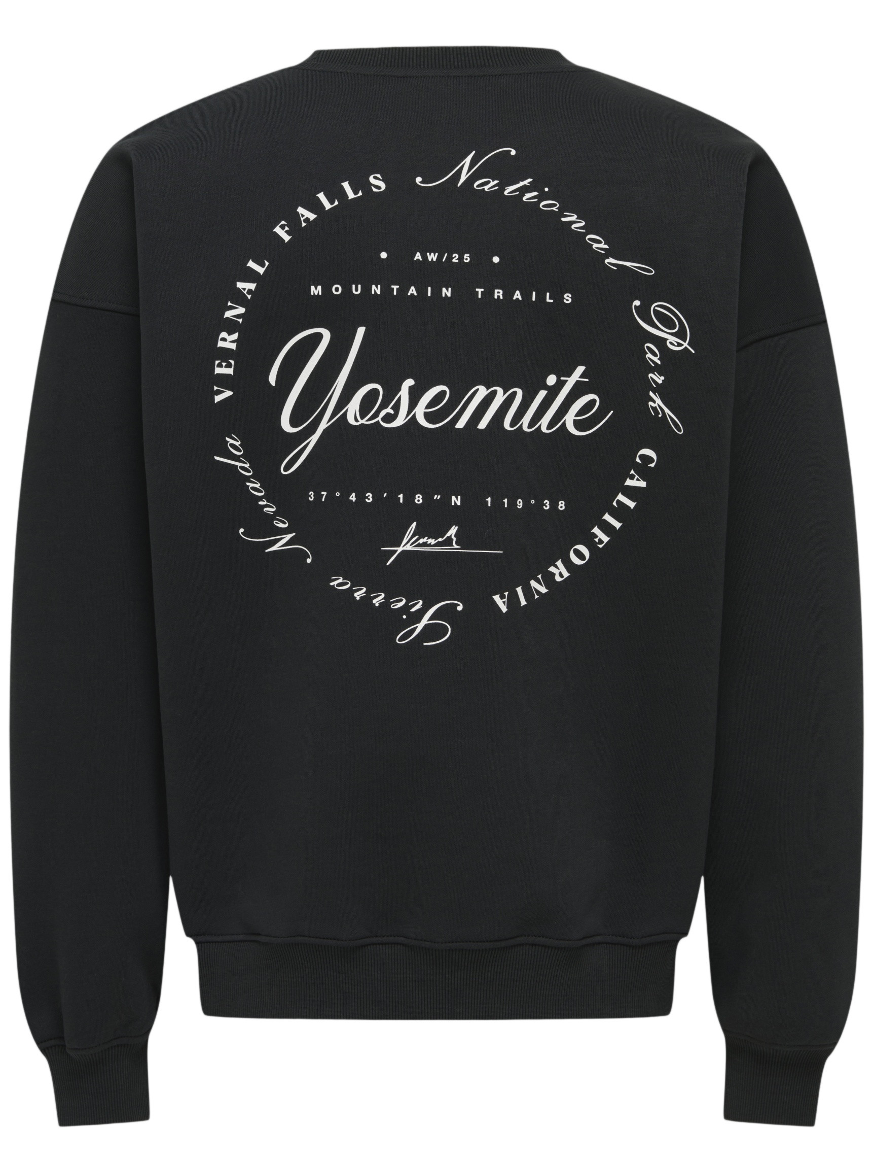 ONLY & SONS Sweater Sceres ski 22037350 Zwart