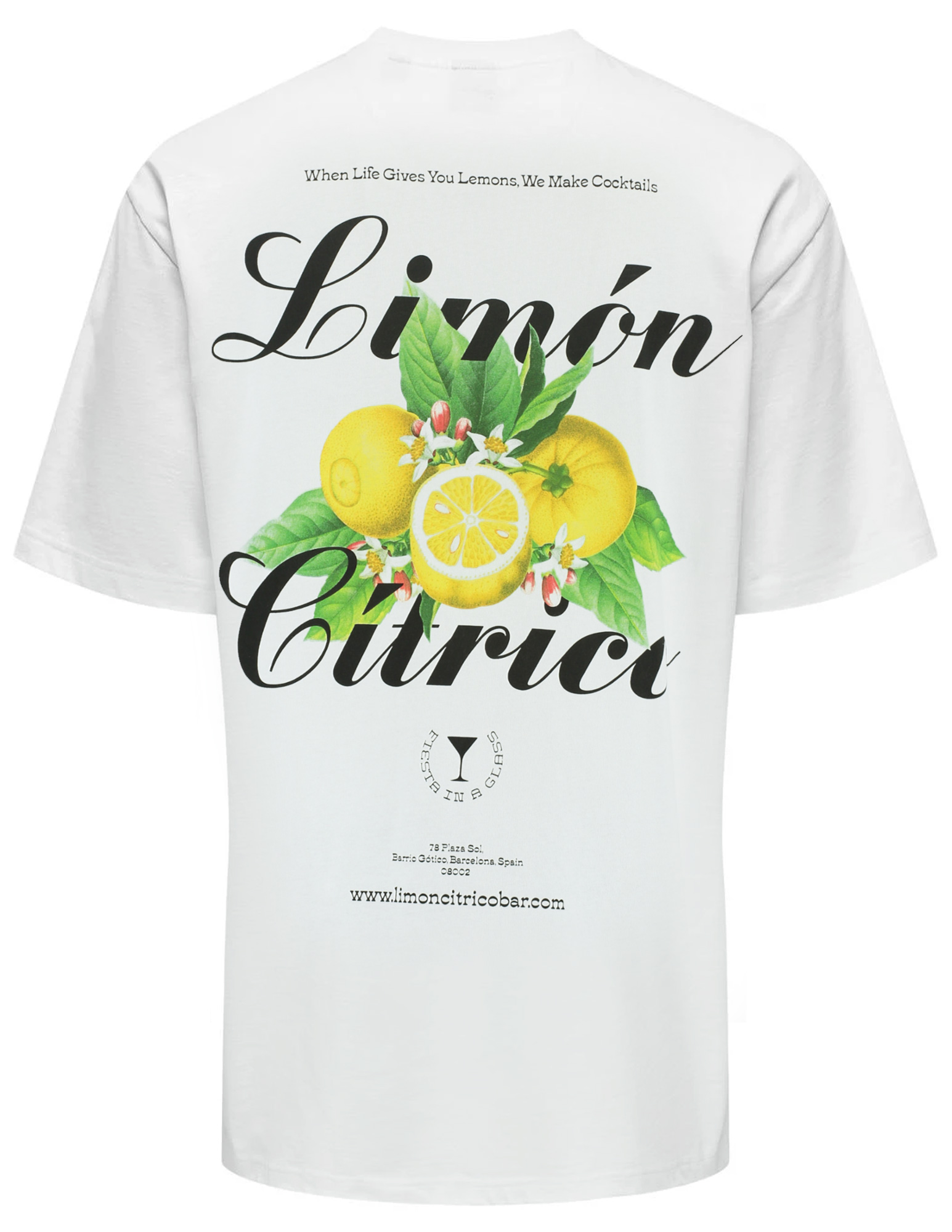 ONLY & SONS T-shirt Keane 22033620 Wolwit-ecru