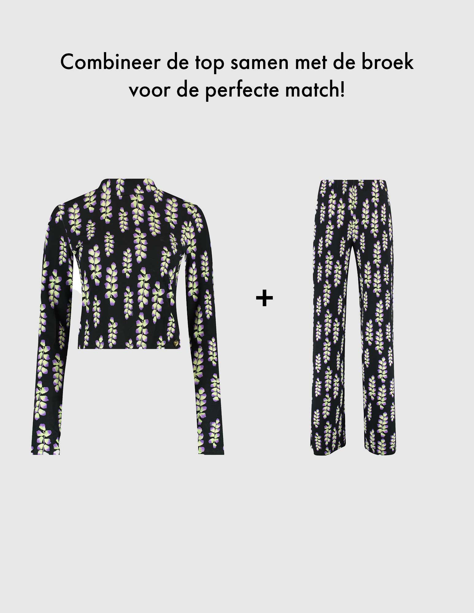 Harper & Yve Broek Jane AW24T102 Paars