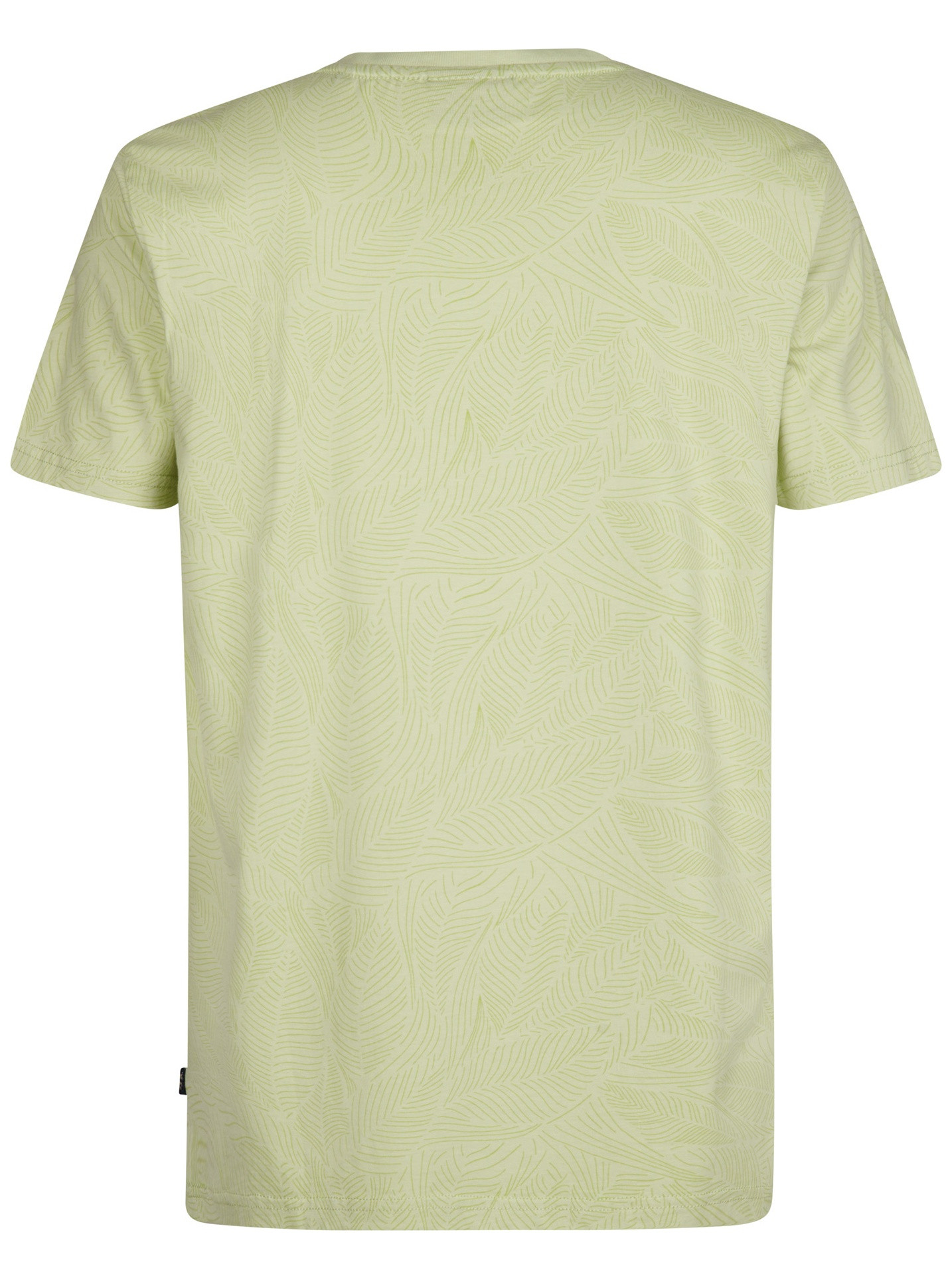 Petrol T-shirt M-1050-TSR116 Groen