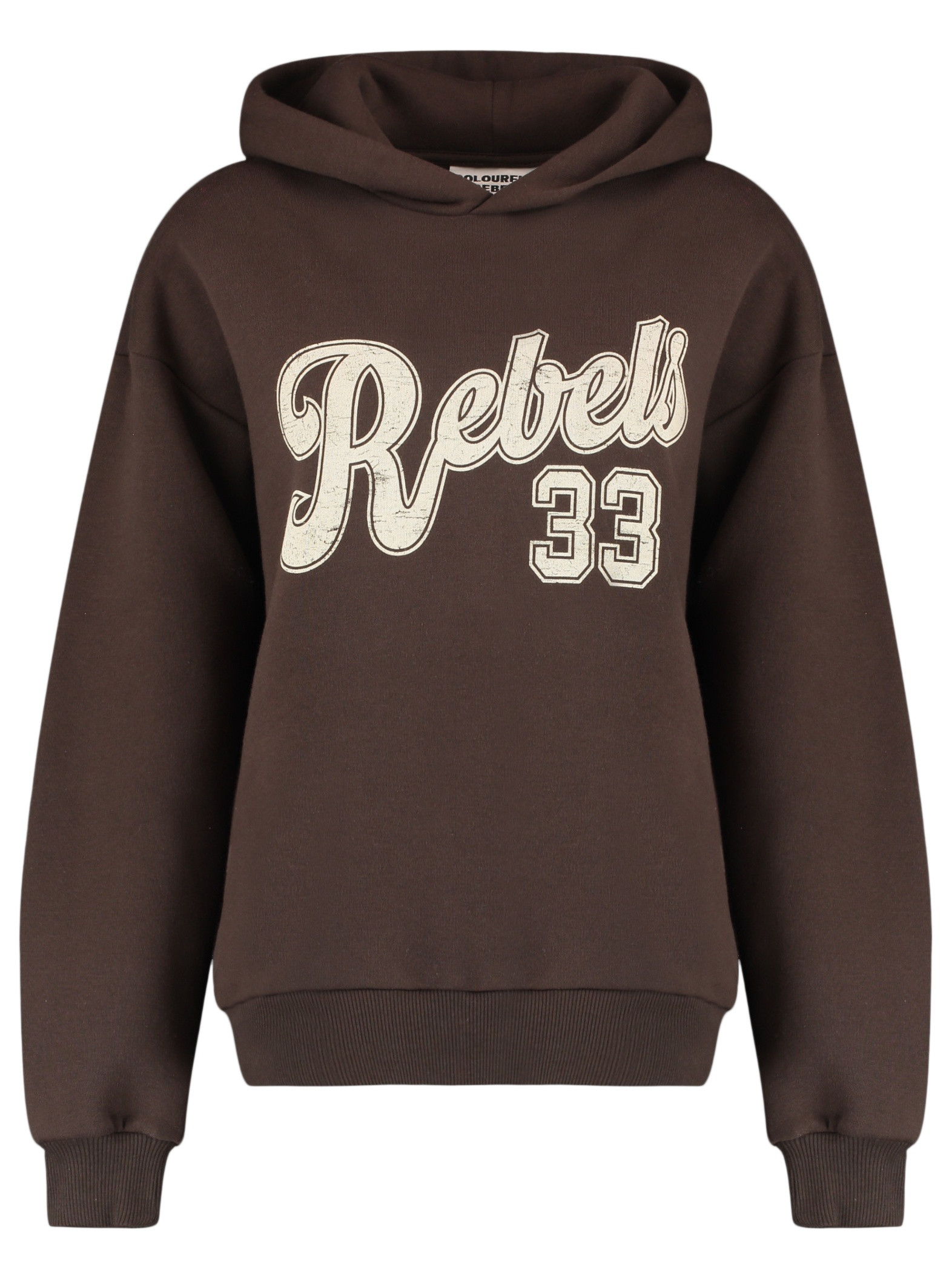 Colourful Rebel Hoodie Rebel 33 WH117180 Donker bruin